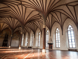 Fototapeta na wymiar Gothich arches in castle hall