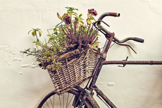 Fototapeta Retro styled image of an old bicycle with basket