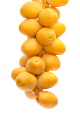 fresh date fruit isolated on white