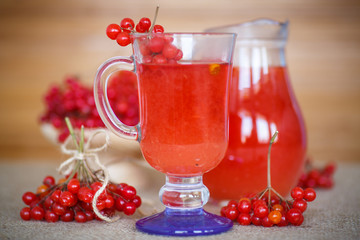 viburnum compote