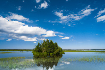 Fototapeta na wymiar Forest Around Green Island