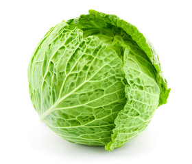 Fototapeta premium cabbage