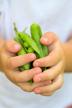 child hands holding pea pods
