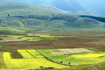 Fototapeta premium Piano Grande di Castelluccio (Italy)
