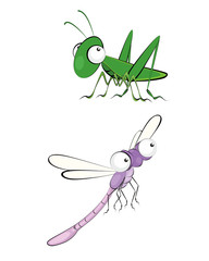 Two insect - grasshopper and dragonfly