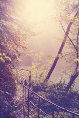 Retro filtered picture of a path in forest.