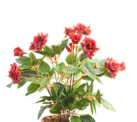 Artificial rose flower in a pot