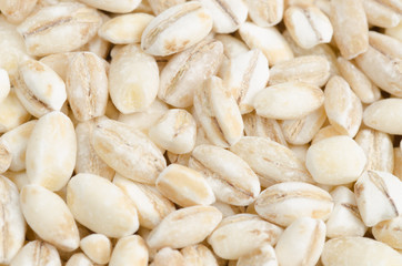 barley closeup, background