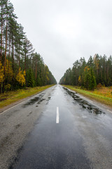 wet asphalt road with sun reflections
