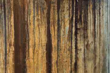 Obraz premium Background color