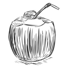 Vector Coconut Cocktail with a Straw
