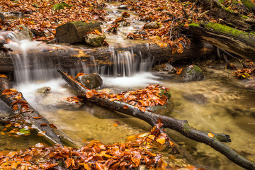 Fototapeta na wymiar Mountain stream with waterfalls