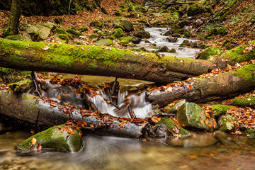 Mountain stream with waterfalls