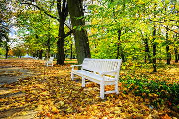 Autumn - bench in autumn park