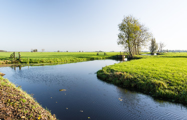 Dutch polder landscape in the fall season