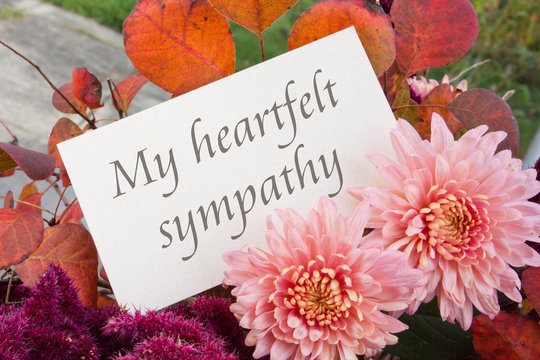 sympathy-card-images-browse-1-505-stock-photos-vectors-and-video