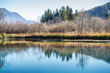 Trees and blue sky reflected in a tranquil lake