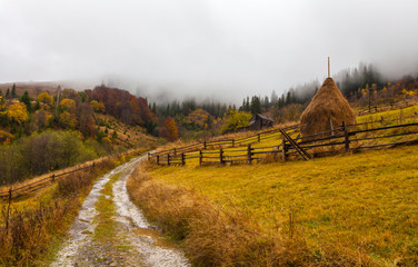 global warming. mountain landscape. Clouds and fog