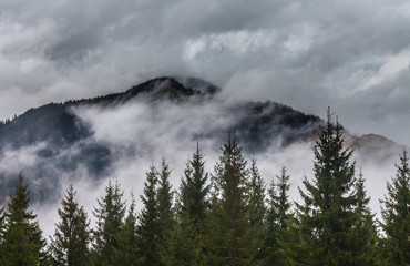 global warming. mountain landscape. Clouds and fog