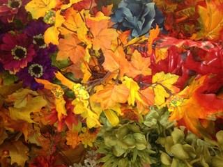 Naklejka na ściany i meble autumn colors