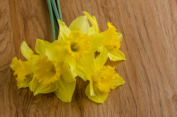 Jonquil flowers