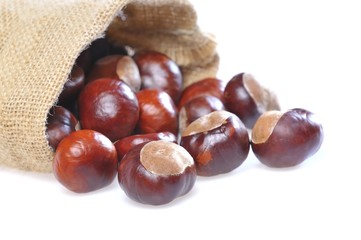 Chestnuts.