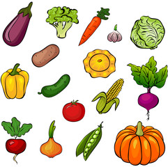 Set of vegetables