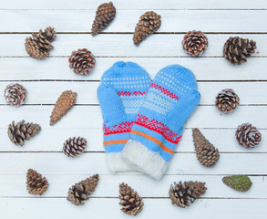 mittens and cones on white table.