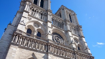 Cathédrale Notre-Dame de Paris