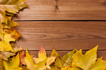 Obraz premium background