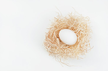 Egg in Nest on White