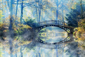 Gartenposter Brücken Herbst - Alte Brücke im nebligen Park des Herbstes