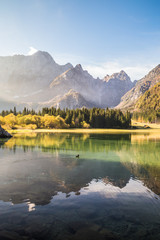 Obraz premium Autumn morning in the alps