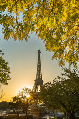 Fototapeta na wymiar saison d'automne PARIS