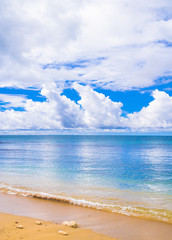 Serene Waters On a Beach