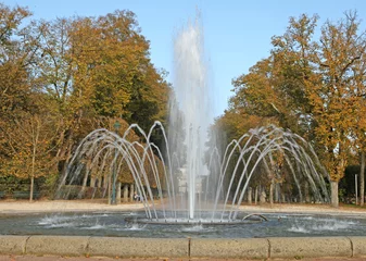 Deurstickers Fontijn fontein in een park