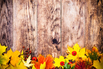 Naklejka na ściany i meble Autumn background, colorful tree leaves.