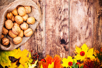 Autumn background with walnuts and colorful tree leaves.