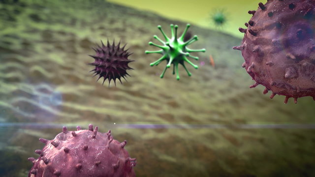 Immune Cell and coronavirus