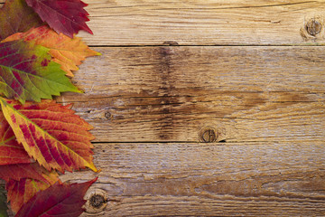 autumn maple leaves over old wooden background