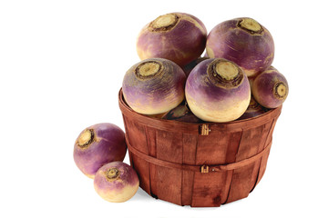 Vegetable Turnip roots