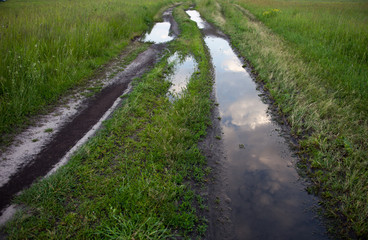 Dirt road with puddles in the green field