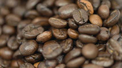 coffee beans background