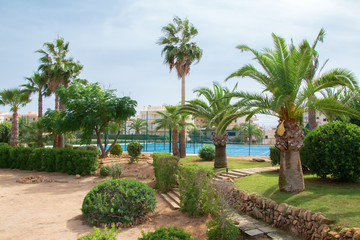 Obraz na płótnie Canvas Tennis courts in the park with palm trees.