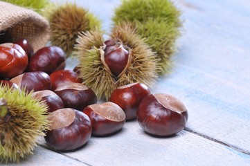 Chestnuts.