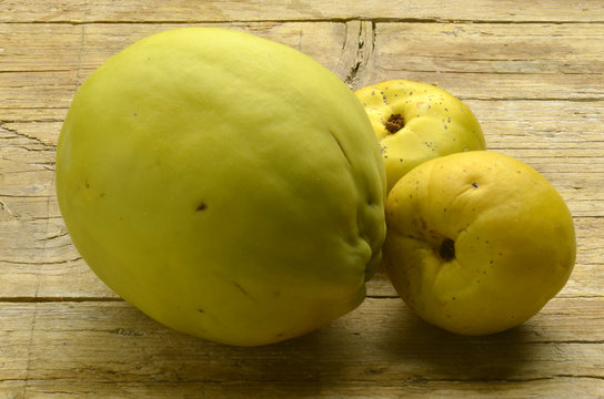 Pyrus pyraster Vadk&ouml;rte Perastro Груша лесная Wilde peer