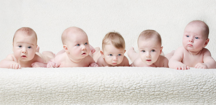 babies on a light background