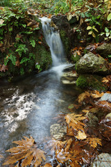 Dilek Milli Parki, Turkey, Europe