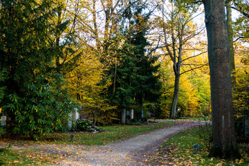 Herbstpracht Westfriedhof