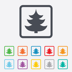 Christmas tree sign icon. Holidays button.